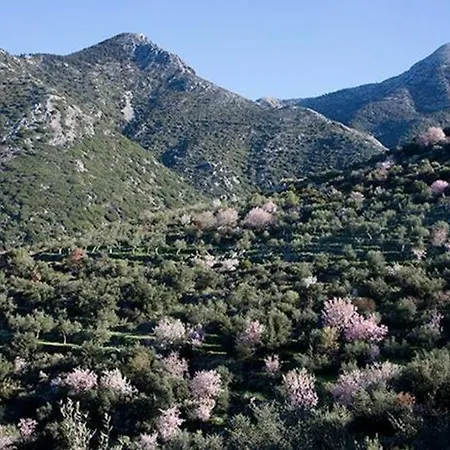 Poliana Tower Villa *