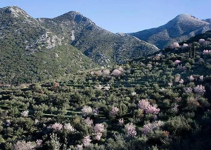 Poliana Tower Villa *