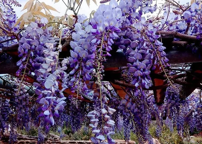 Poliana Tower Villa *